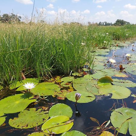 Golentle Home Stay Maun Luaran gambar