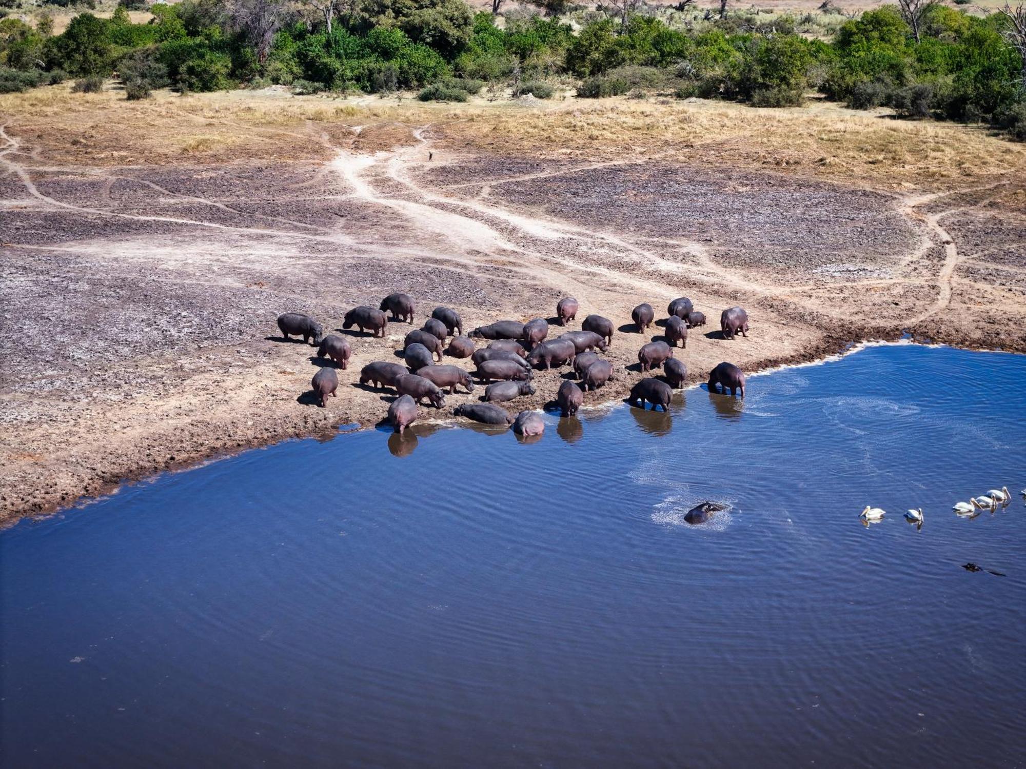 Golentle Home Stay Maun Luaran gambar