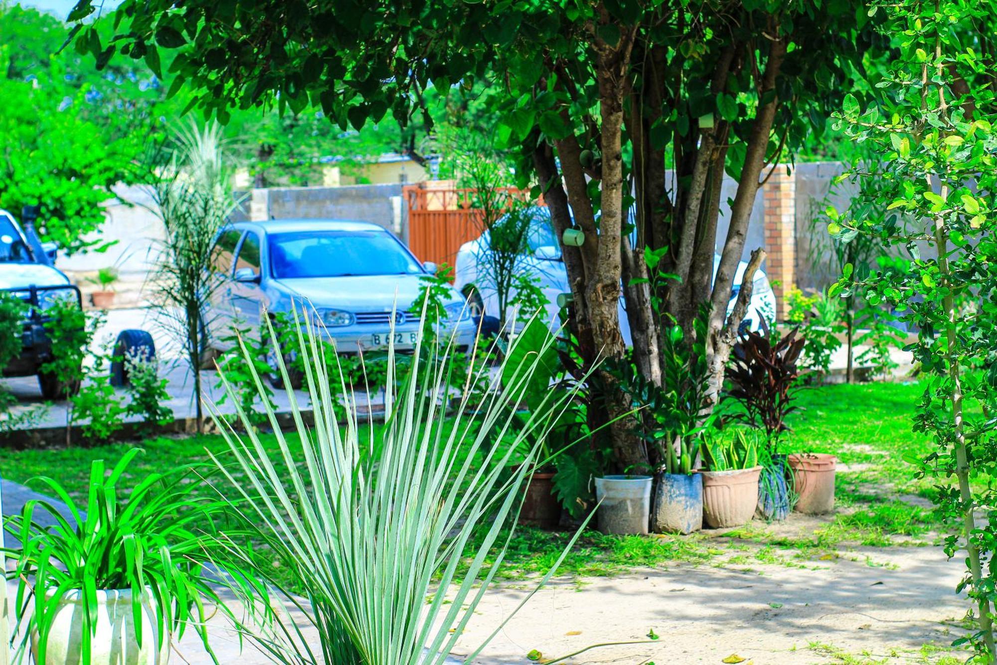 Golentle Home Stay Maun Luaran gambar